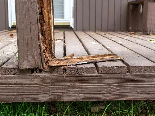 deck repair